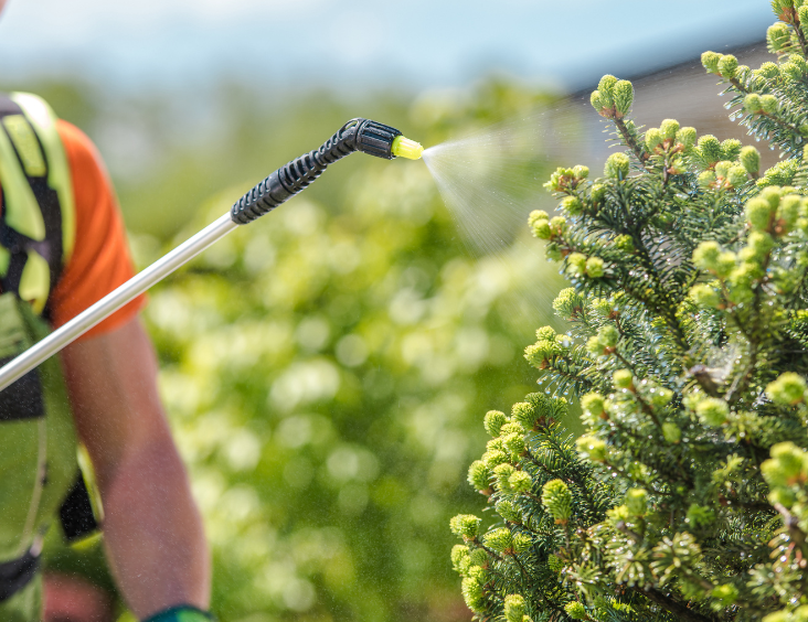 Tratamiento de jardines