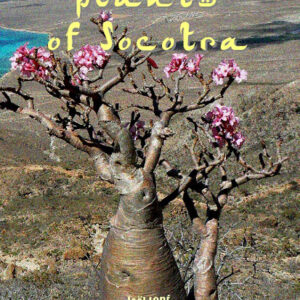 Libro: Succulent plants of Socotra